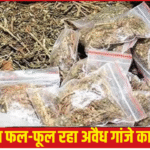 “नशा-मुक्त या नशे का अड्डा?”