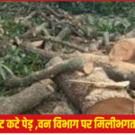 रहीमाबाद वन चौकी अवैध पेड़ कटान