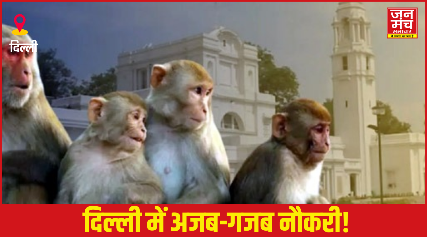 दिल्ली बंदर भर्ती”, “मंकी मैन नौकरी”