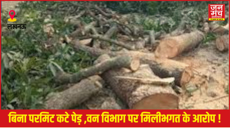 LucknowNews: रहीमाबाद वन चौकी क्षेत्र में अवैध पेड़ों की कटान, वन विभाग पर मिलीभगत के आरोप