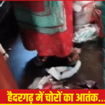 हैदरगढ़ में चोरों का आतंक
