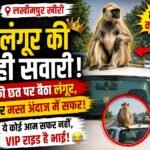 लखीमपुर खीरी: लंगूर बना ‘VIP’